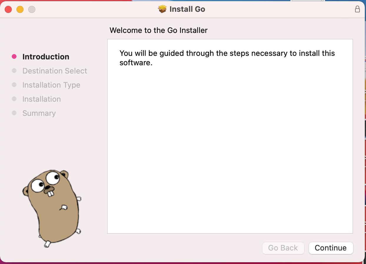 Install Golang - Introduction